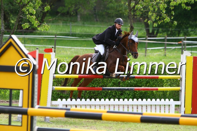 005M7094_Callisto_M Springen x.JPG